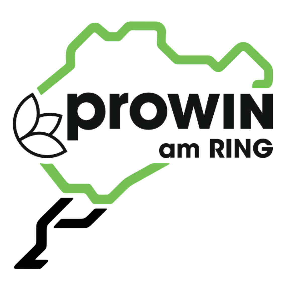 logo-prowin-am-ring-neu